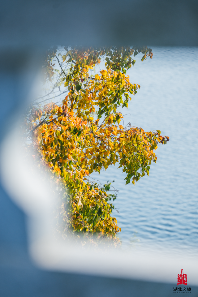 2h直奔武汉“东极”，这条自驾线刷爆朋友圈