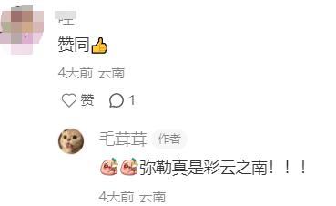 弥勒人被夸了！友好、耐心、善良、态度好...