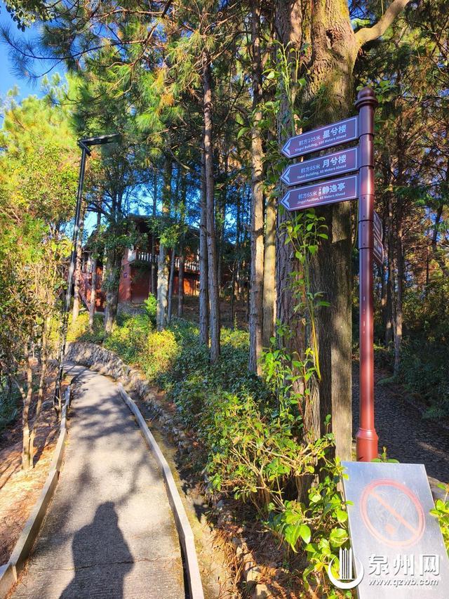 出发，沿着国道游泉州！