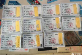 撸黄金遇到“杀猪盘”，有人刷爆4张信用卡，有家庭负债超百万图片