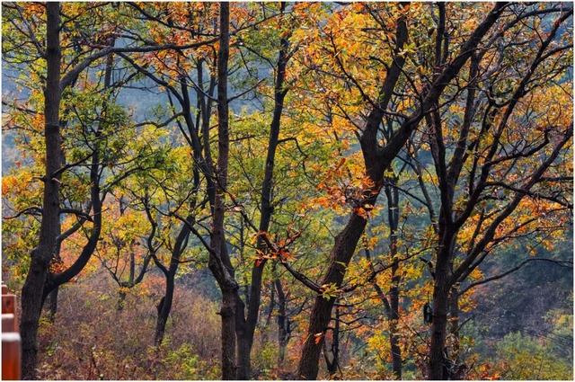 抓住秋天的尾巴，去“北方小桂林”选出你最爱的颜色~