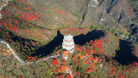 逃离“人从众”指南，上线！