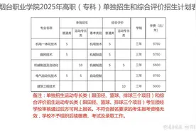 烟台职业学院2025年单招、综招计划60人，限报1个专业图片