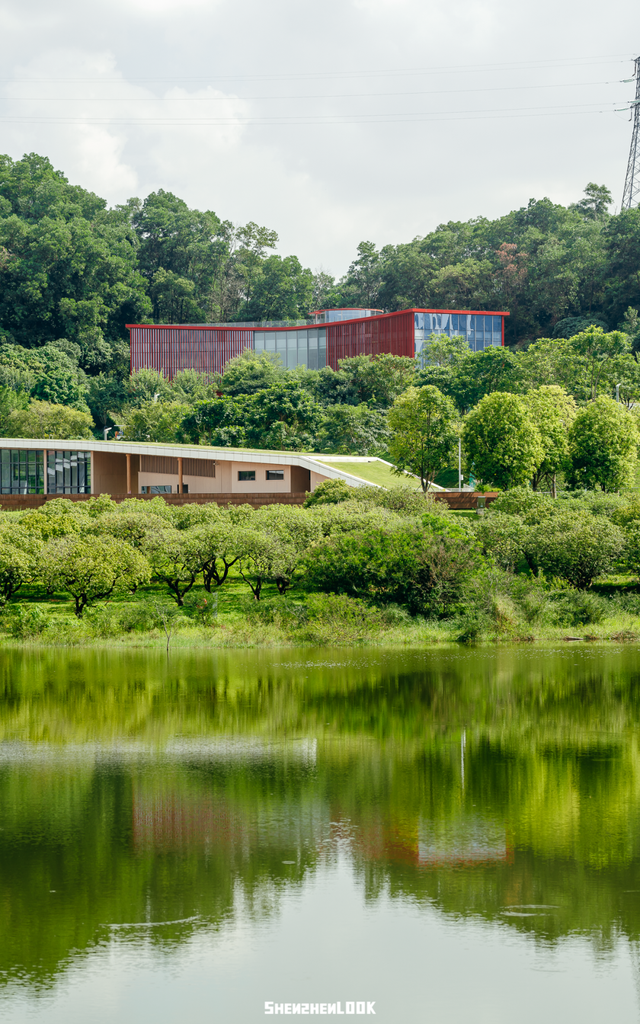 深圳环境五星的「网红公园」，不能再低调了