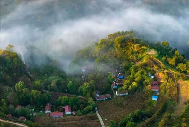 华亭关山多彩林海 解锁陇东最浓秋意