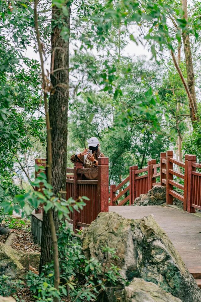 免门票！里水登高首选！3条赏秋路线→