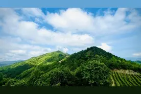东至县青山乡：“林长＋” 铺就乡村振兴最美底色图片