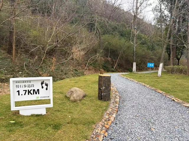 “森”呼吸！惠山区两条省级森林步道，就在......