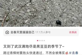 街头大量出现！已有人中招图片