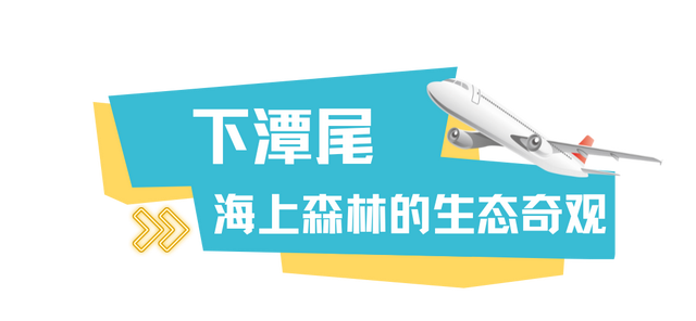 “九八”投洽会收官！澳荻文旅新干线邀您共启新程！