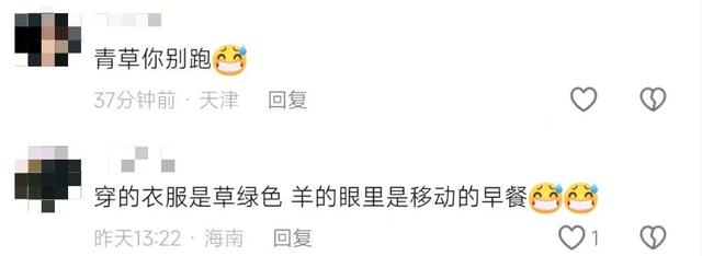 女子在新疆骑行被羊追，评论区秒变网友后续创作现场……