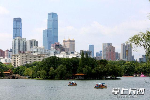 组图｜虽已立秋暑气未散，仍需防暑降温