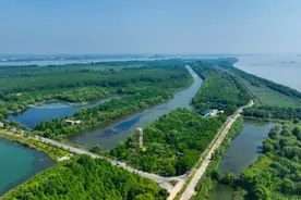 南京长江新济洲“人退鱼进”：搬迁千户岛民，建成湿地公园图片