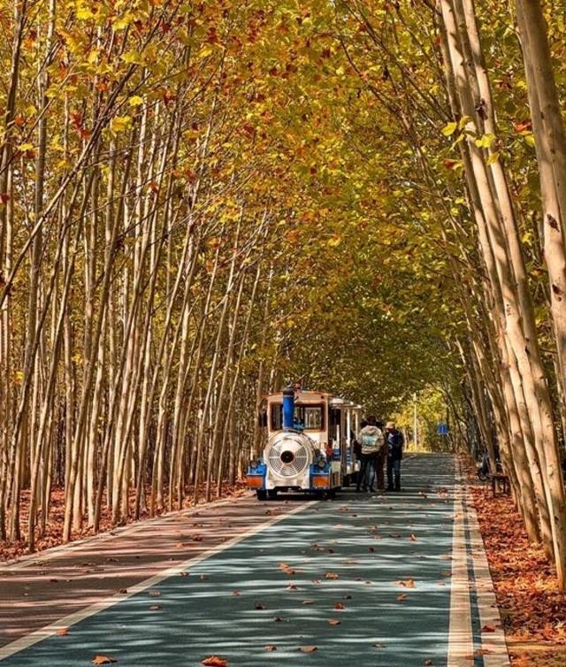 郑州人私藏的8个赏秋胜地！