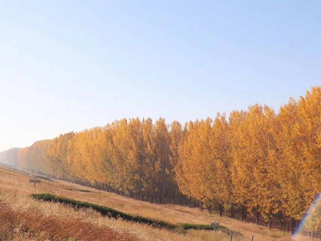 潍坊峡山：秋末冬初美景如画