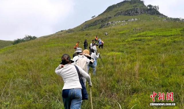 广西来宾九凤山藏天然“福”字 成网红登山打卡地