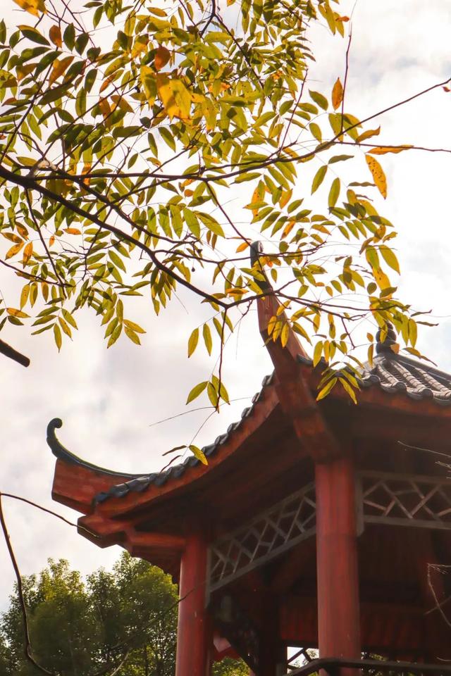 要开学啦！这些三明高校隐藏美景，还不来吗？