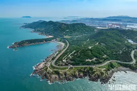依山傍海，绿意盎然！青岛这条环岛路美了美了图片
