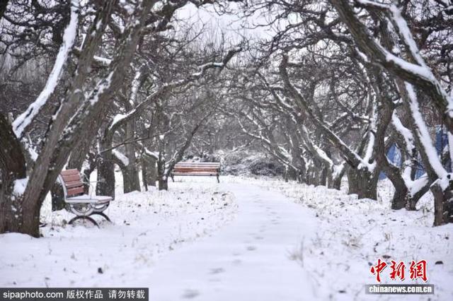 山东滨州：雪后冬景美如画