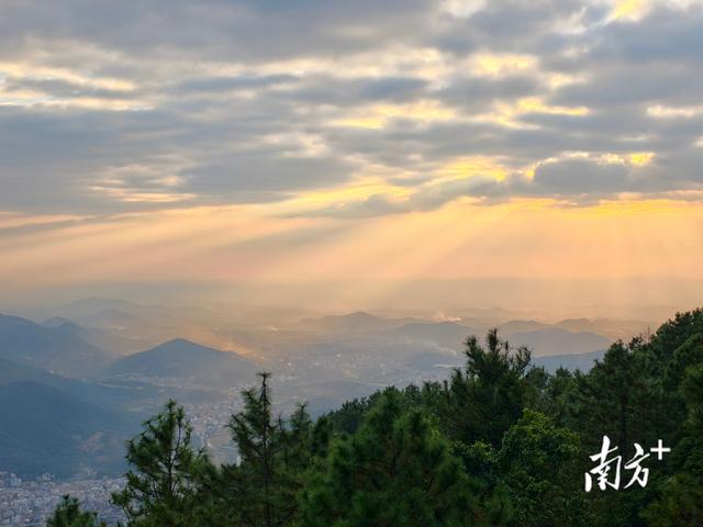 上新！“云上南清”步道直通山顶，研学民宿齐上线