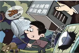 平台上有人售卖野保动物直播狩猎，消失的野味卷土重来图片