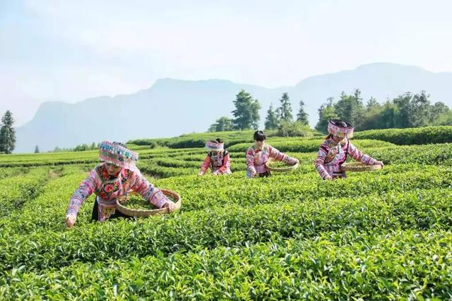 国庆中秋游叙永：这里私藏了一条“山水走廊”