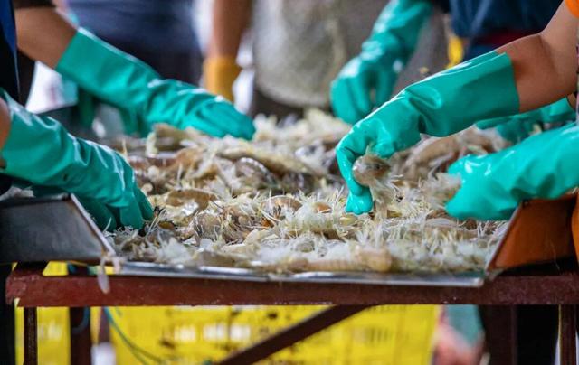 防城港短剧式旅行路线：48小时解锁《人间烟火图鉴》