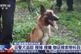 警犬与“机器狗”协同作战 个个有绝活！直击现场→图片