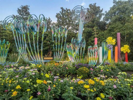 2025上海菊花展在共青森林公园举办 攻略请收好