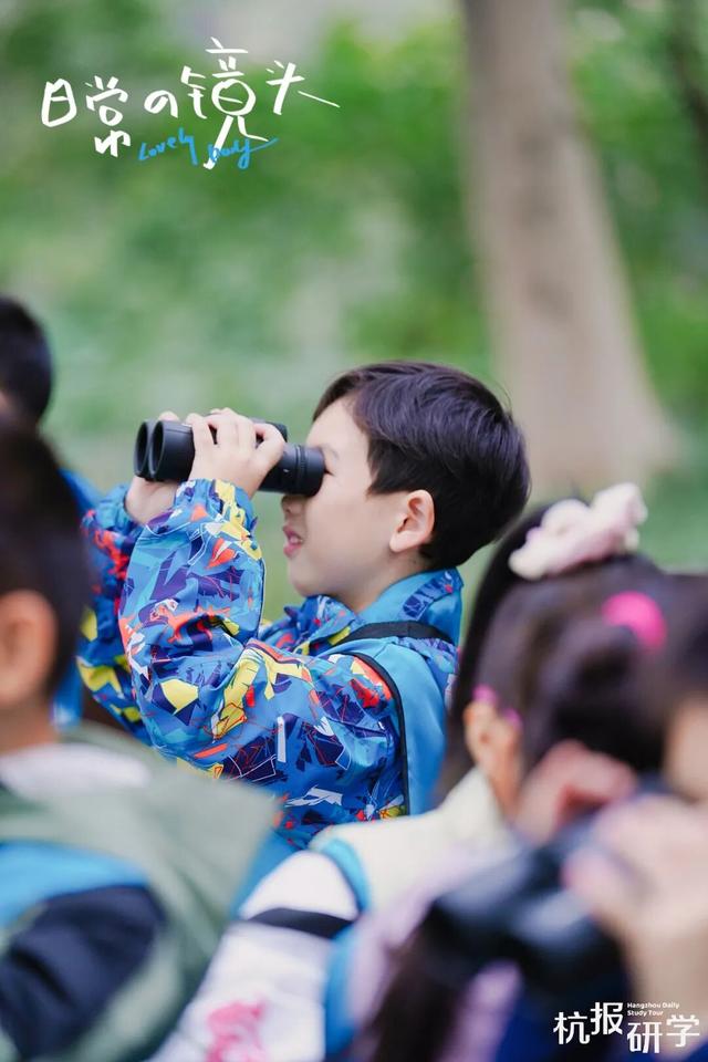 12.07 独立营｜冬日寻羽记：解码西湖候鸟的越冬密码！鸟类专家带队，探秘茅家埠“鸟类天堂”，体验听声辨鸟、飞羽寻踪的野趣周末！