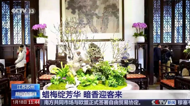 又上央视！来看这些苏式冬日美景