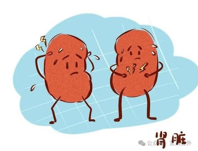 臭臭惹人爱的榴莲该如何健康的吃呢？
