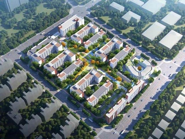 北京号最精彩｜85公顷！海淀这个大公园正式开园