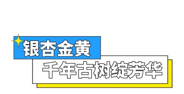 航旅融合 | 抽免费机票，来三明欣赏不一样的初冬景色！