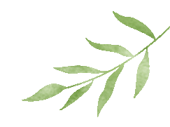 增城“岭南客驿”正果驿站启动试运营啦！