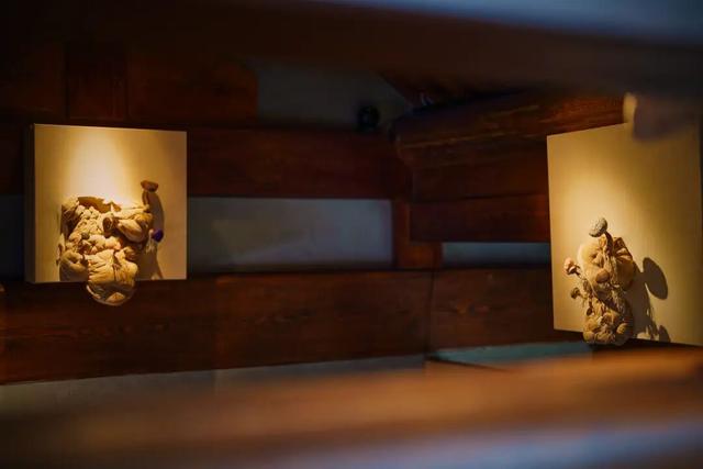 来东城这个胡同小院，邂逅蘑菇精灵的童话秘境——