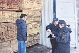 1300余吨白俄罗斯木材抵烟图片