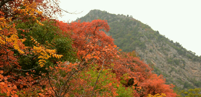 河南多家景区最新免门票活动来啦！
