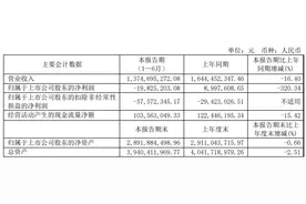 皮鞋卖不动了？“男鞋第一股”奥康上半年业绩下滑，门店减少100家 | 中报解码图片