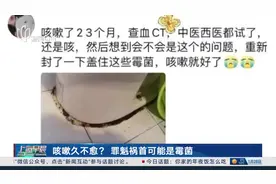 咳嗽久不愈？罪魁祸首可能是霉菌图片