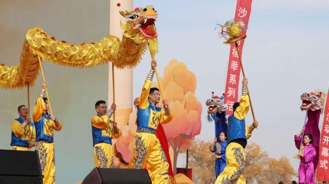 沙雅县2025年胡杨季启幕 世界最大胡杨林绽放金色魅力