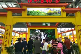 “来会展中心饮茶先！”实拍第29届深圳春季茶博会图片