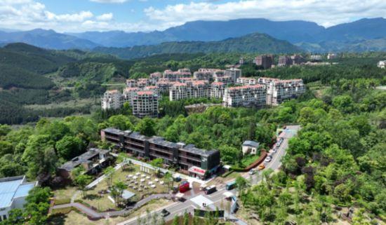 从“交通线”到“文旅线”：雅安雨城区省道104线与望鱼古镇的“双向奔赴”