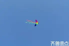 最美校园四月天丨那年盛夏图片