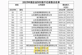 山东53家企业登榜2023中国企业500强！位列全国第三图片