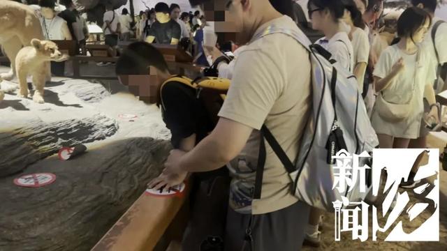 上海自然博物馆内多名儿童翻越禁区，家长还在旁鼓励？志愿者：曾有活体被摸死
