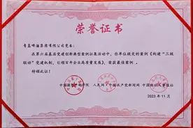 青岛啤酒“三级联动”党建机制入选第六届基层党建创新典型案例图片