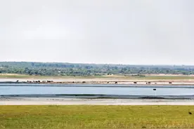 自治区首个！ | 鄂尔多斯市最新发布六条措施！事关购房 | 我国首款，横空出世......图片