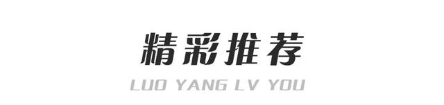 老家河南“网红打卡地”发布！洛阳3地上榜，速来打卡→