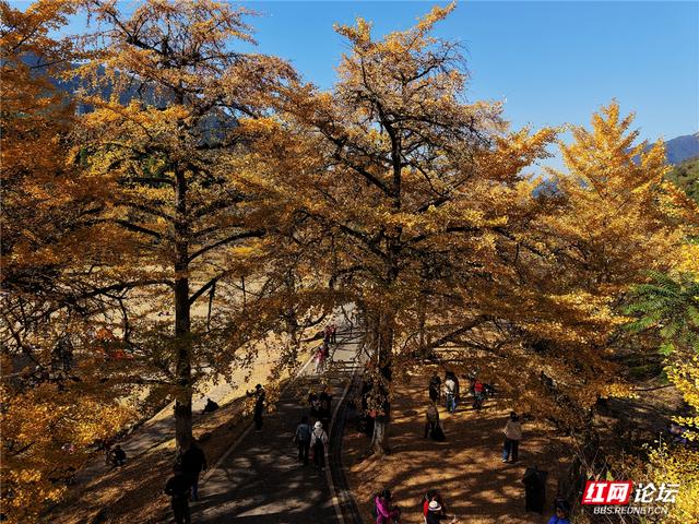 【每日一图@湖南】在永州桐子坳，我找到了最动人的浪漫